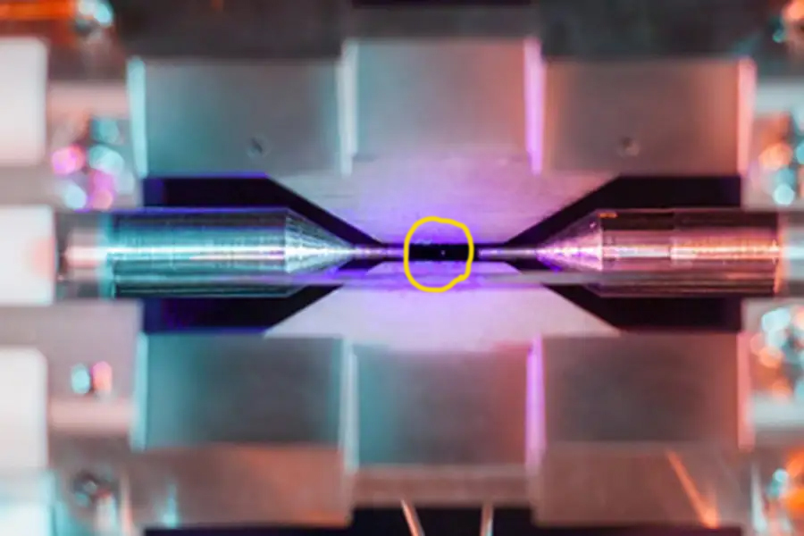 24 mars Palmesøndag