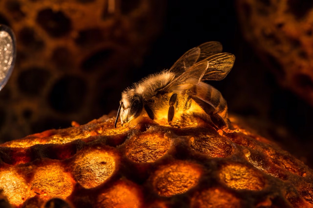 1. april, 2&nbsp;påskedag