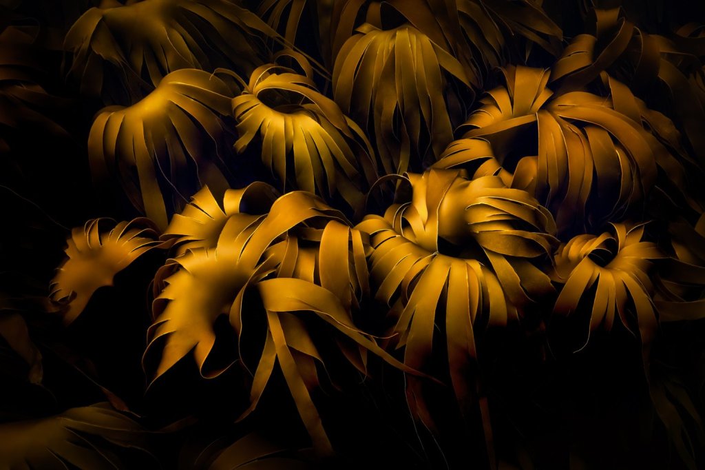 1. Advent desember&nbsp;2024