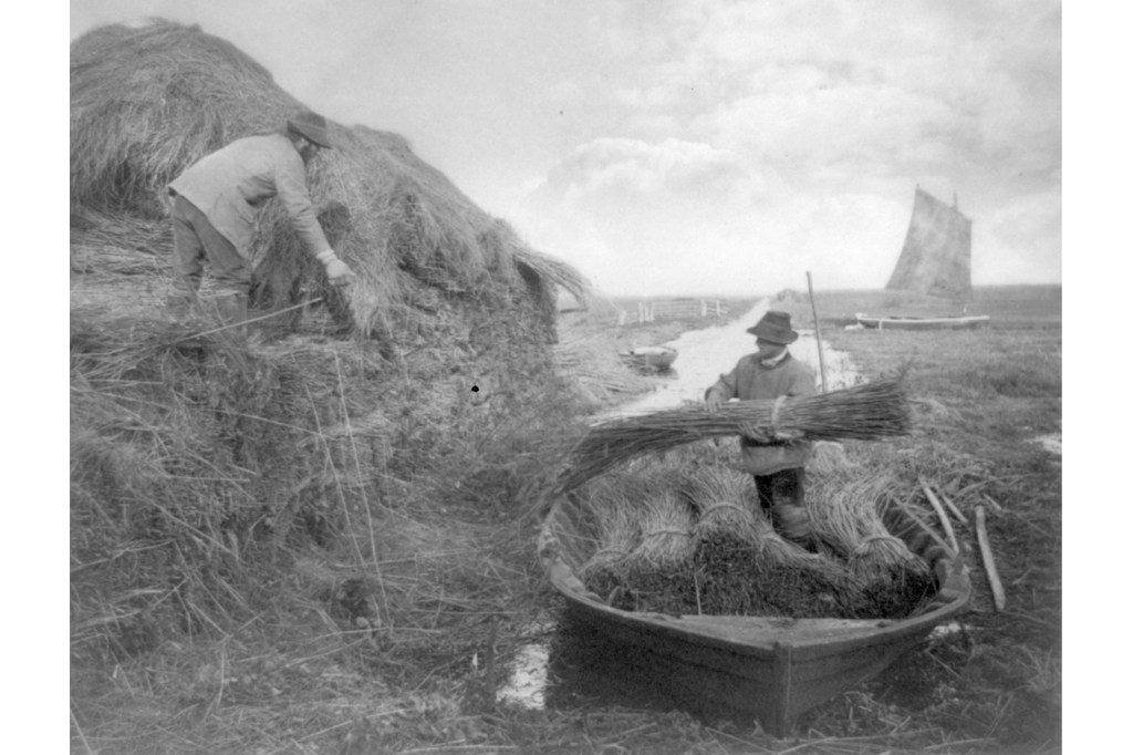 Fotografering som egen&nbsp;kunstart
