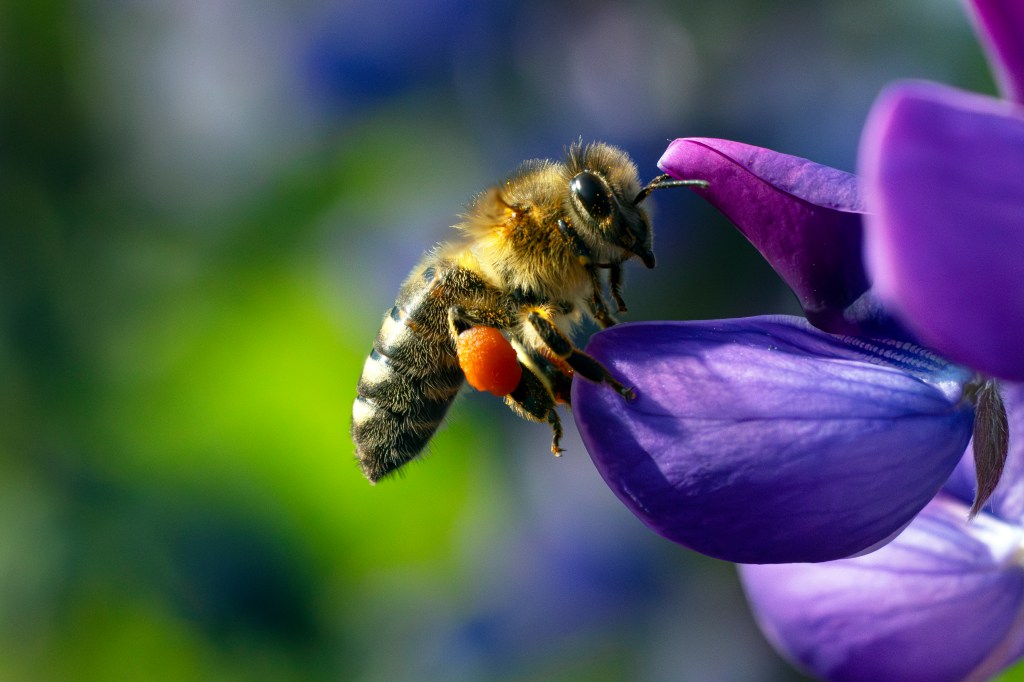 En sommer hilsen fra&nbsp;meg