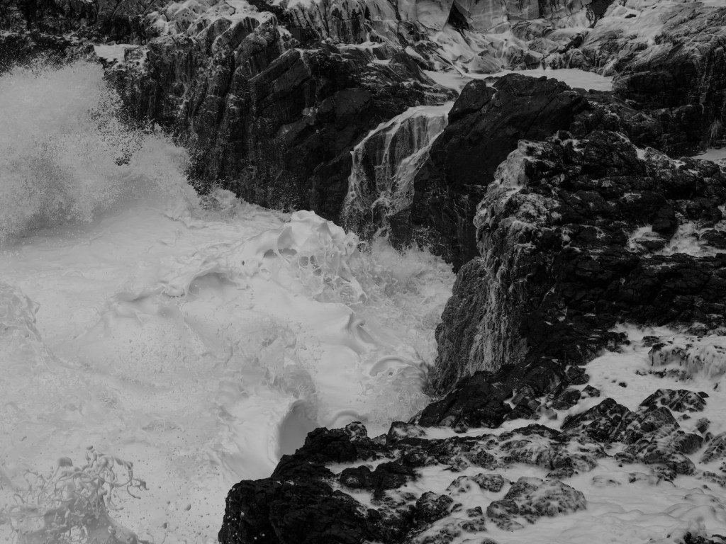 Trenger jorden oss&nbsp;mennesker?